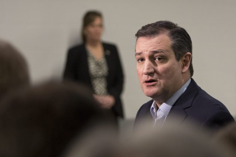 Cruz vowed that any individuals who pledged allegiance to ISIS would be 