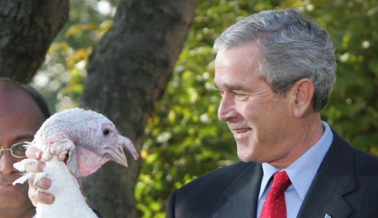 Former President George W. Bush is one of a number of presidents who added a little comedy into the annual White House turkey-pardoning tradition. (AP Photo/Pablo Martinez Monsivais)
