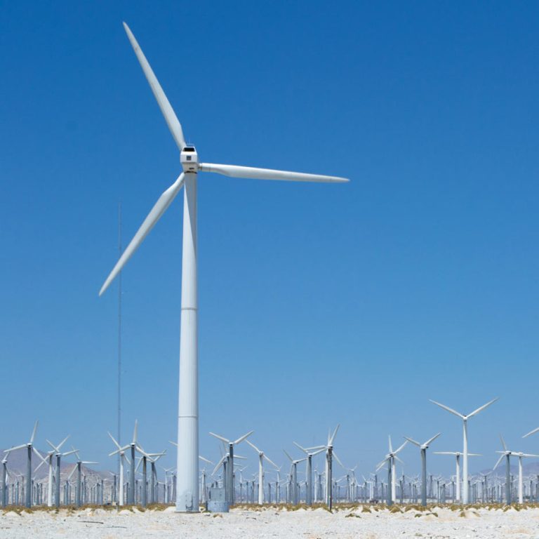 Blowin’ in the Wind