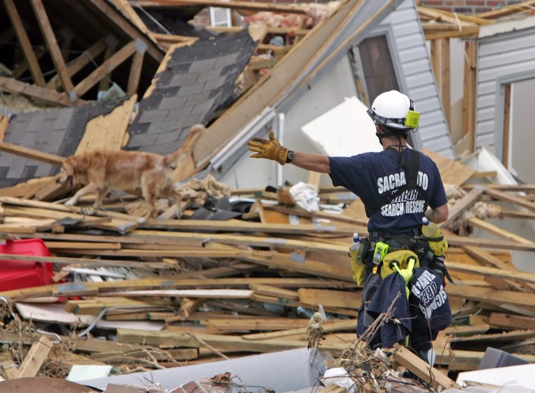 Rick Lee from Sacramento FEMA's Search and Rescue Task Force Seven directs his dog Ana while searching homes destroyed by Hurricane Katrina in East Biloxi, Tuesday, Sept. 6, 2005. The new logistics supply management system was meant to fix problems that became obvious during FEMA's response to Hurricane Katrina. (AP Photo/John Bazemore)