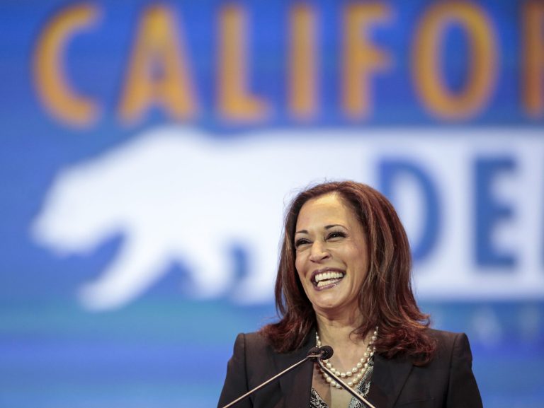 California's Democrat Attorney General Kamala Harris oversees licensing of charities and other nonprofits that wish to ask Californians for contributions. (AP Photo)