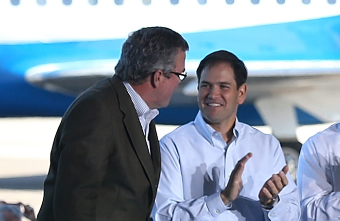 Sen. Marco Rubio said Wednesday that Gov. Jeb Bush would be a 