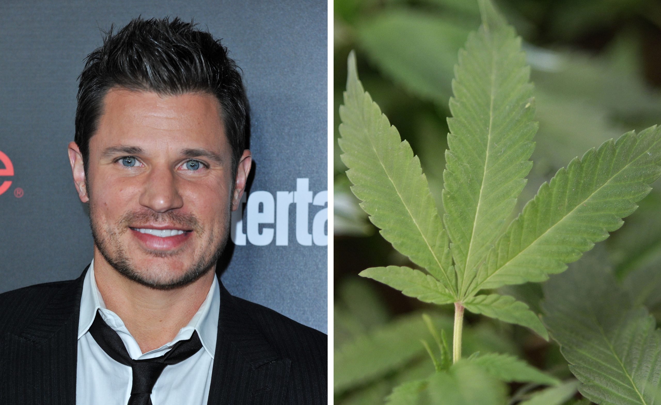 Nick Lachey: Ohio’s marijuana king?