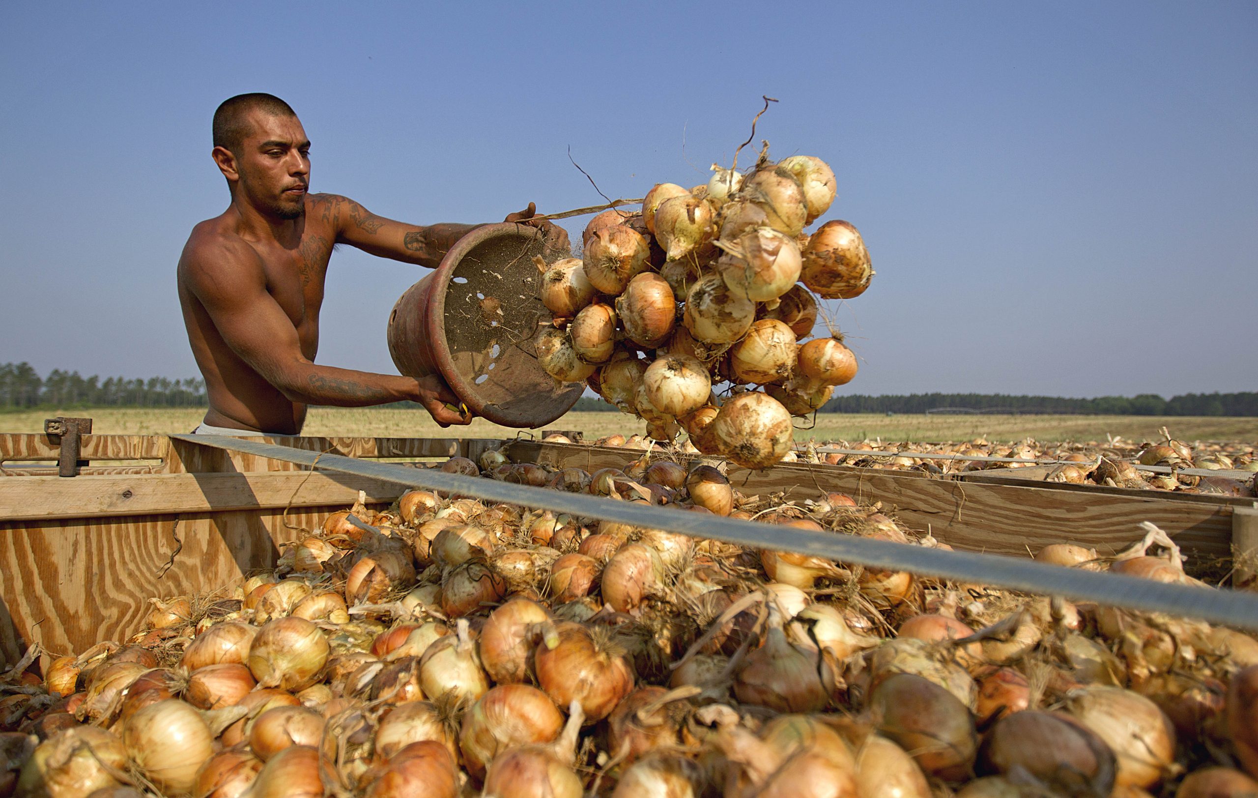 Manhattan Moment: A new layer of regulation would boost cost of onions but not safety