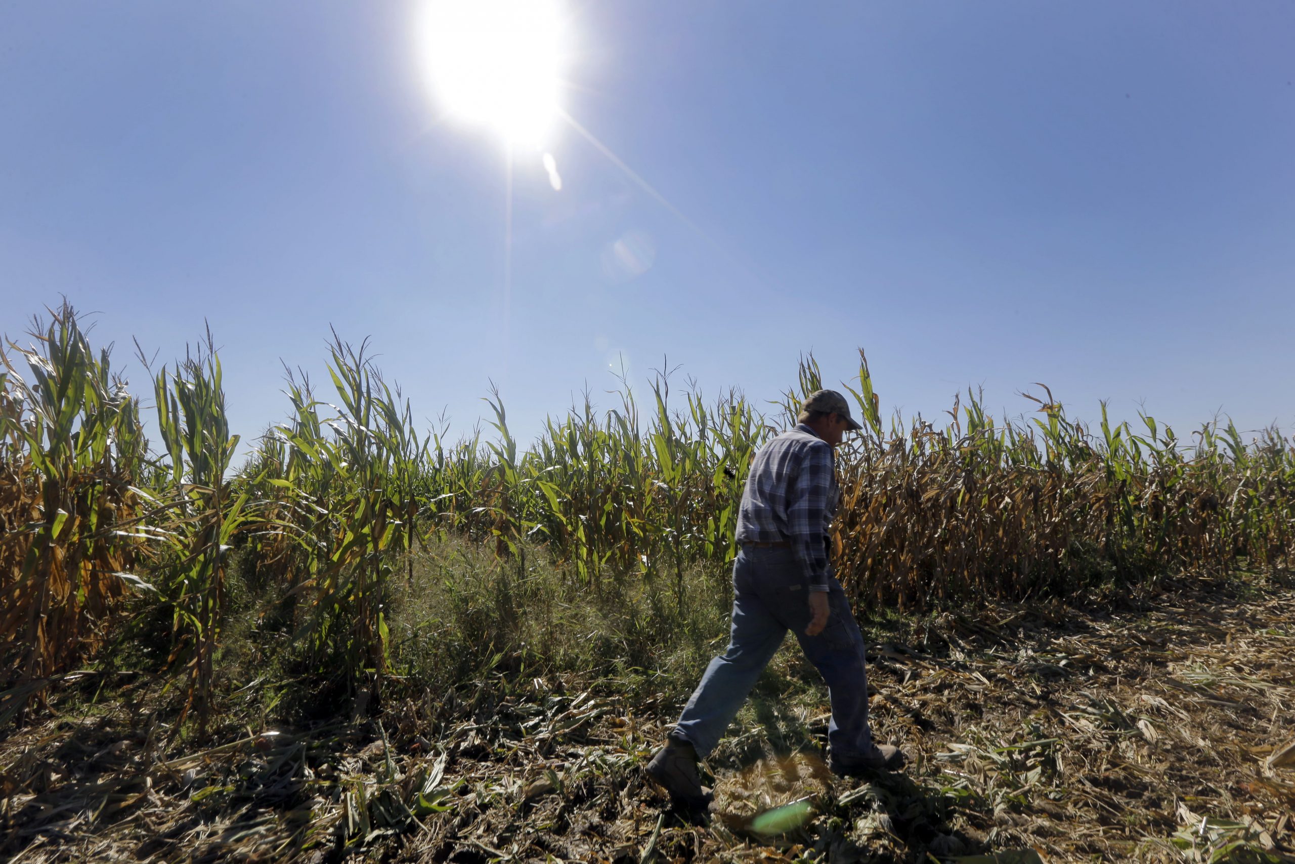 5 things to know about the massive farm bill