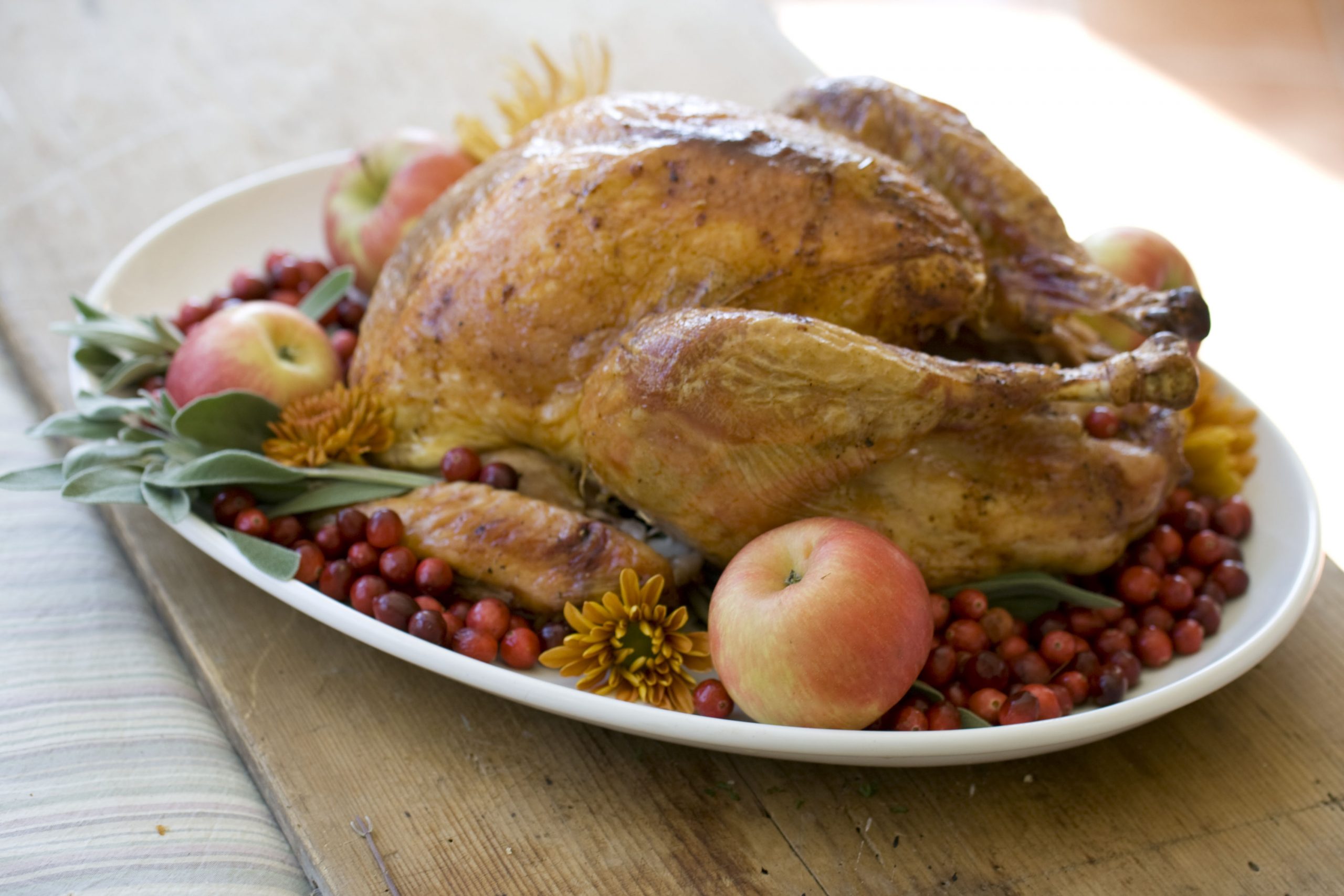 With Build Back Better, Democrats are cooking up a turkey dinner