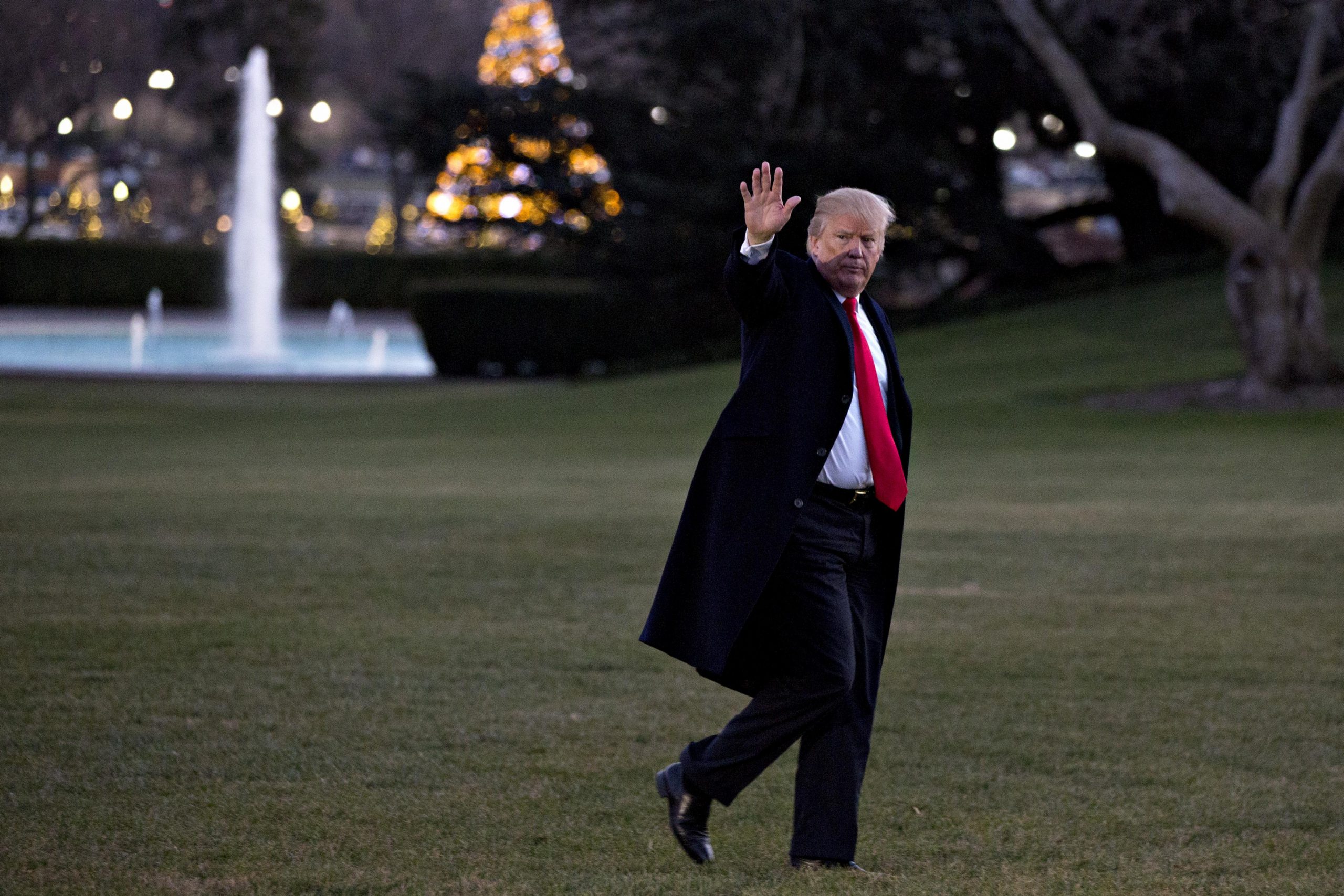 White House Watch: The Year of Trump