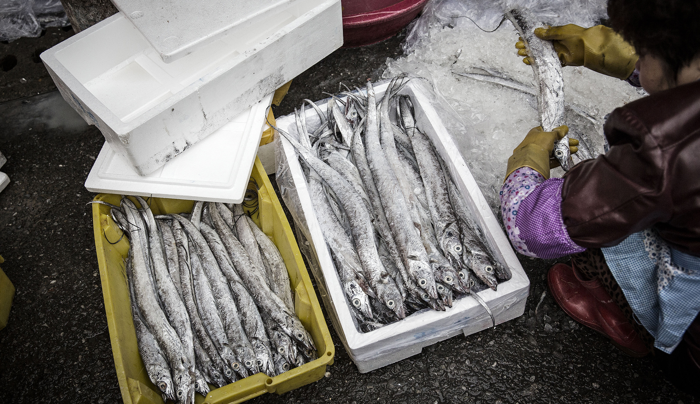 Why China’s fishing habits are a much bigger problem than Japan’s