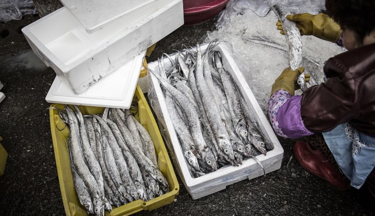 A woman arranges a box of frozen fish for sale at a fresh food market in China.