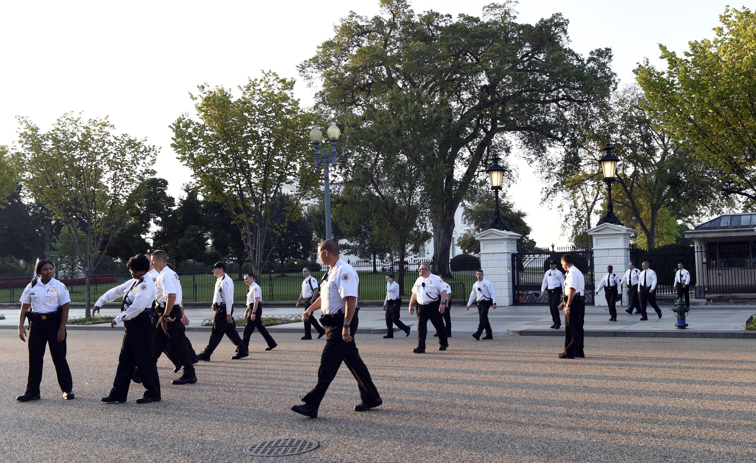 House: Comprehensive review of Secret Service