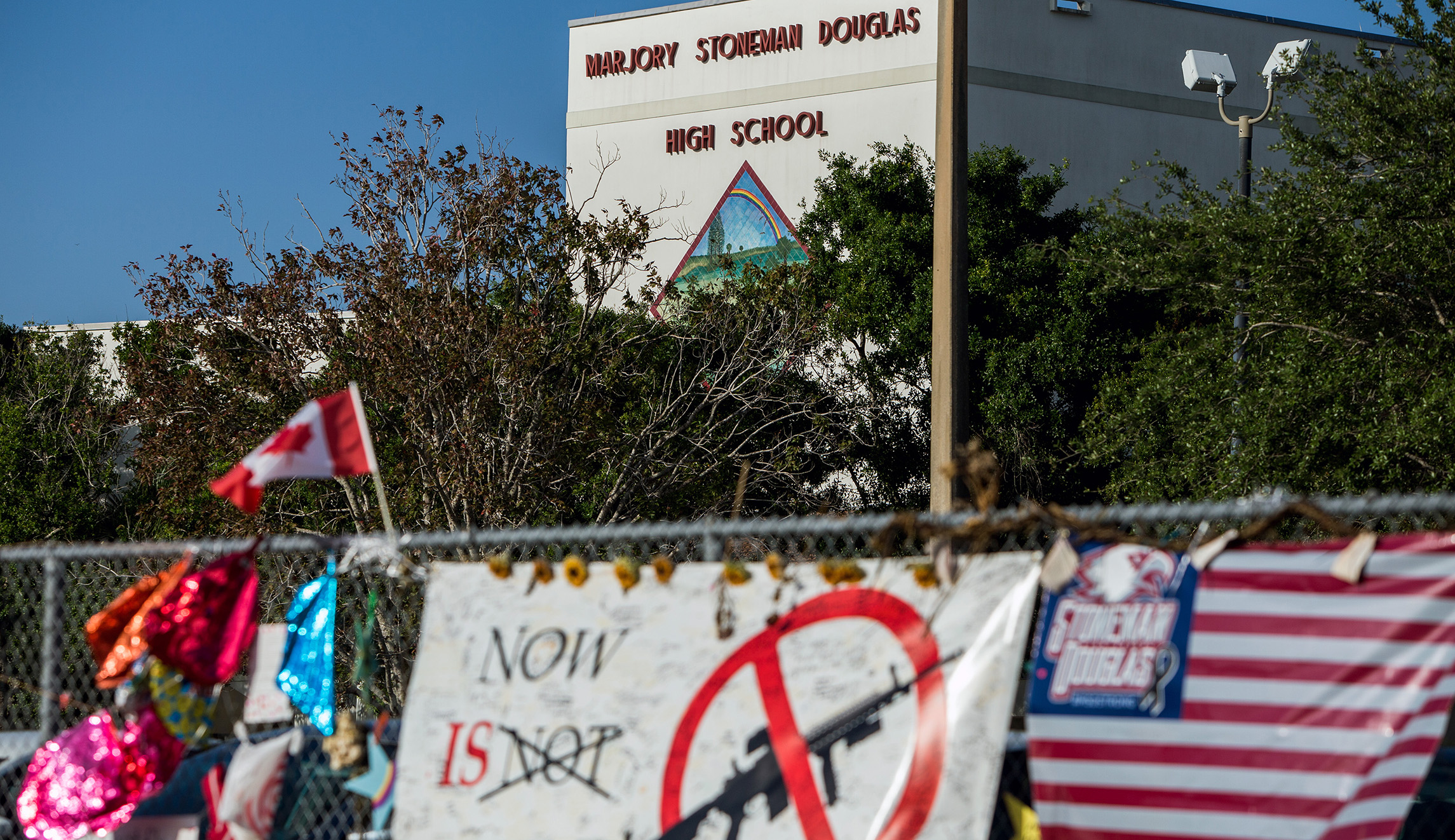 Democrat moves to block use of federal funds to arm teachers