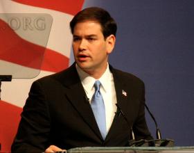 Rubio, Crist Neck-and-Neck in New Polls