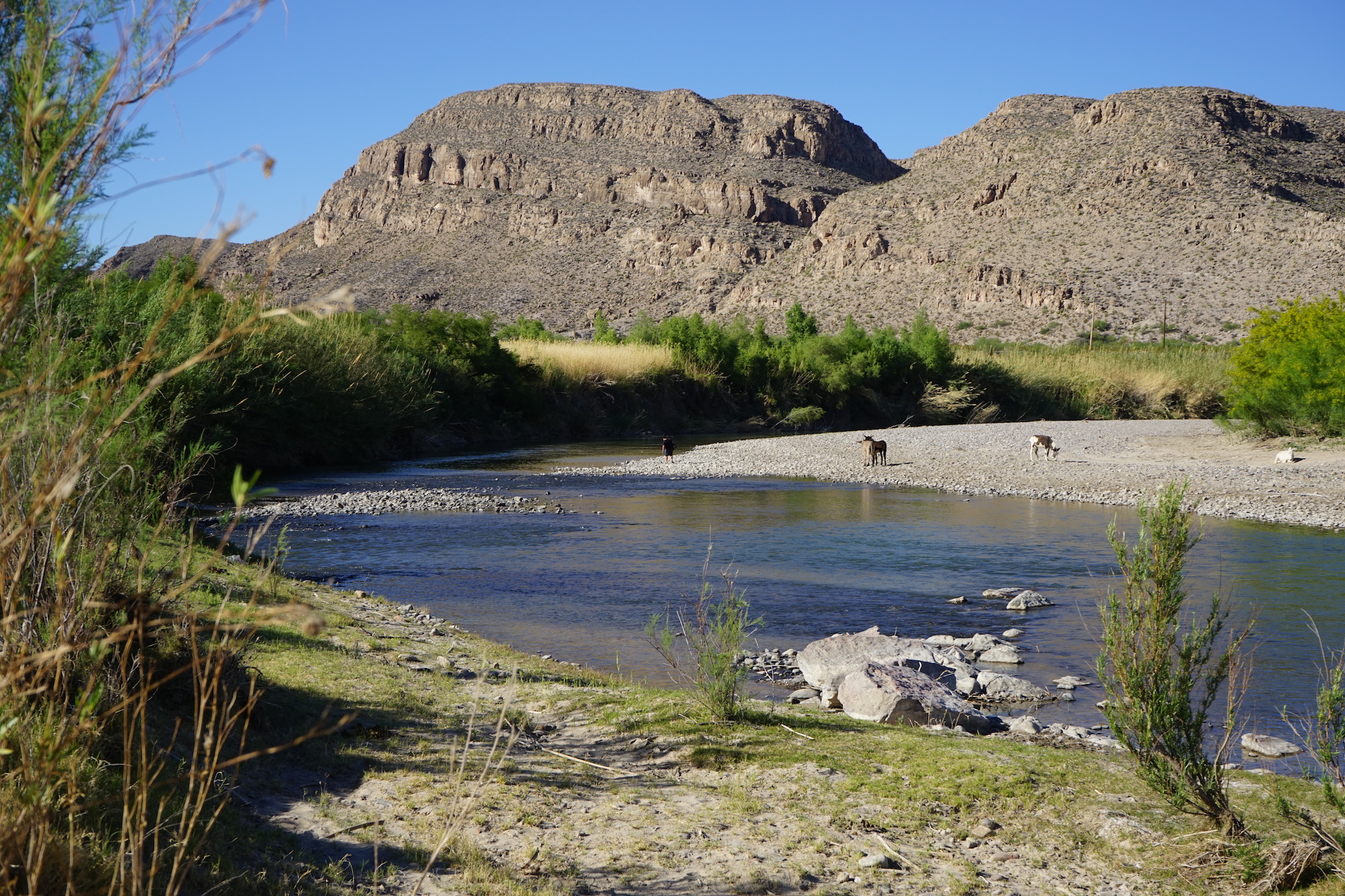 Border Bike Trip, Day 21: How Long to Terlingua?