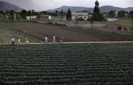 In this May 5, 2011 file photo, Pakistani men walk through a path in a field next to the house where al-Qaida leader Osama bin Laden was caught and killed in Abbottabad, Pakistan. Al-Qaida's second-in-command, Atiyah Abd al-Rahman, has been killed in Pakistan, delivering another big blow to a terrorist group that the U.S. believes to be on the verge of defeat, U.S. officials said Saturday. (AP Photo / Muhammed Muheisen, file)