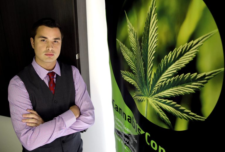 In this July 3, 2014 photo, Michael Mayes, CEO of Chicago-based Quantum 9 Inc., a medical cannabis consulting company, poses for a photo in his Chicago office. The prospect of adding jobs, even as few as 30, has led officials in many shrinking Illinois' communities to set aside any qualms about the state's legalization of medical marijuana and to get friendly with would-be growers. Quantum 9 has helped win permits for marijuana producers in four other states. (AP Photo/Nam Y. Huh)