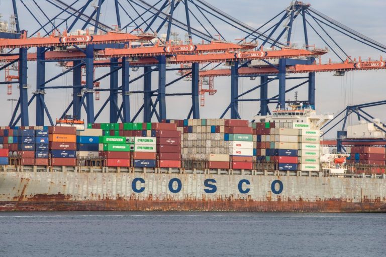 Shipping containers once used for Arizona wall up for auction