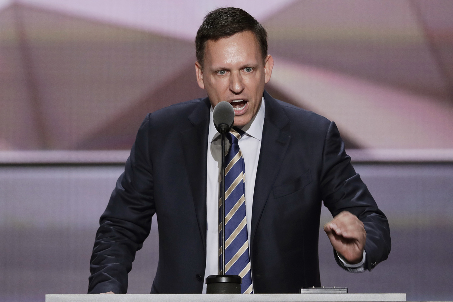 Thiel defends Trump, warns that movement ‘not going away’ post-election