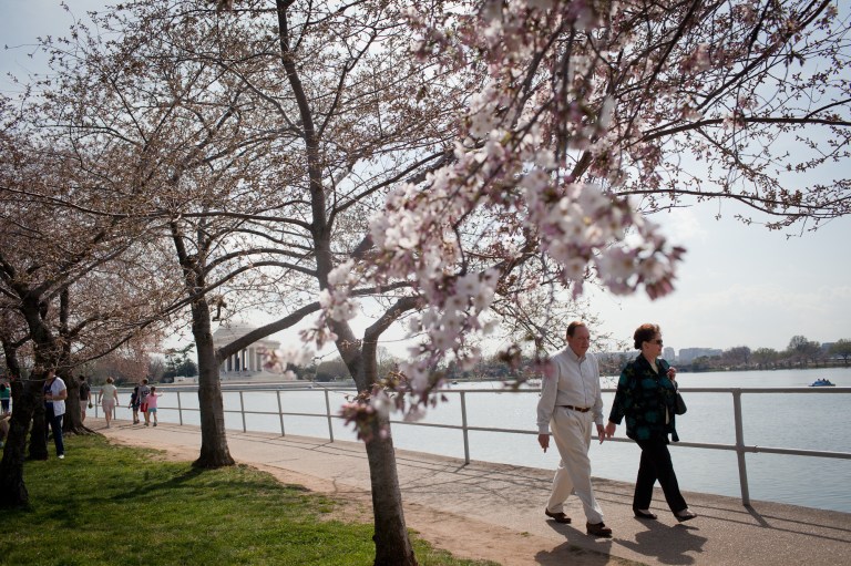 Unusually warm weather heads to the Washington area