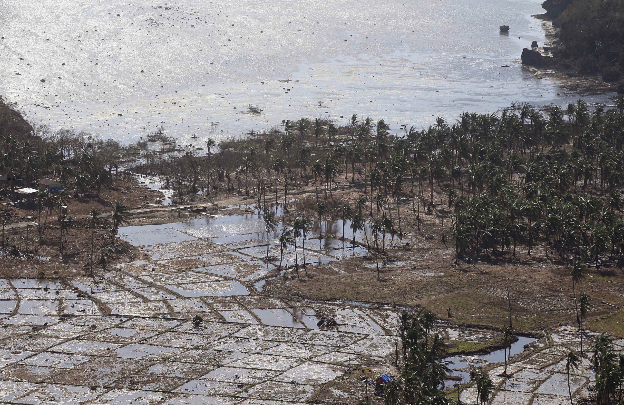 After Haiyan, Philippines expands crop insurance