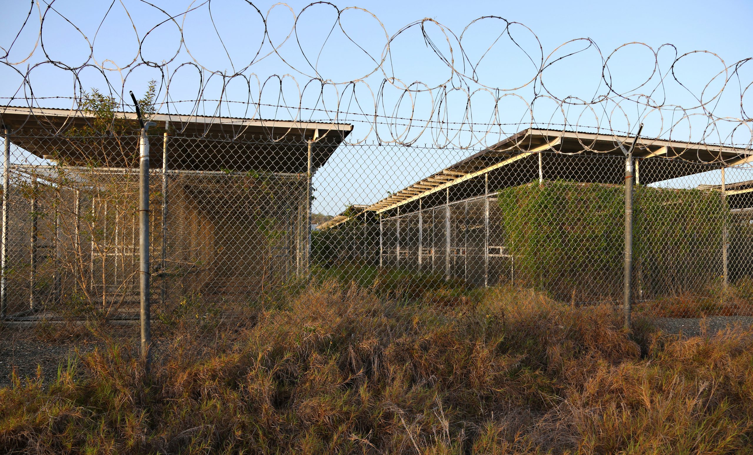 Guantanamo detainees could be given coronavirus vaccine beginning next week