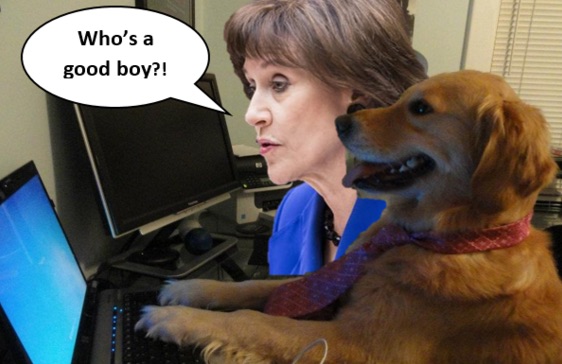 Photo/Americans for Tax Reform