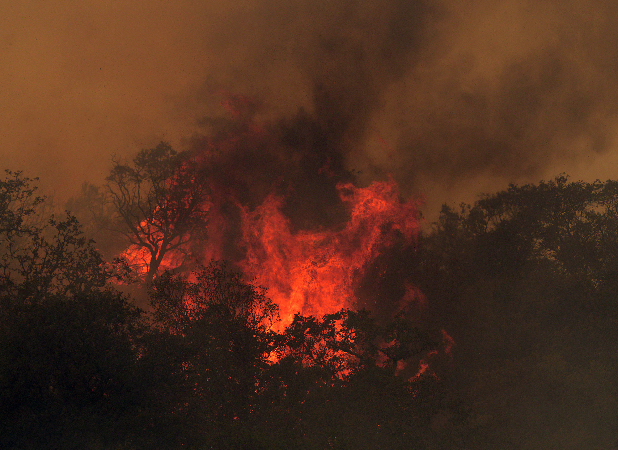 Watchdog: Forest Service mismanaging forest fire risk