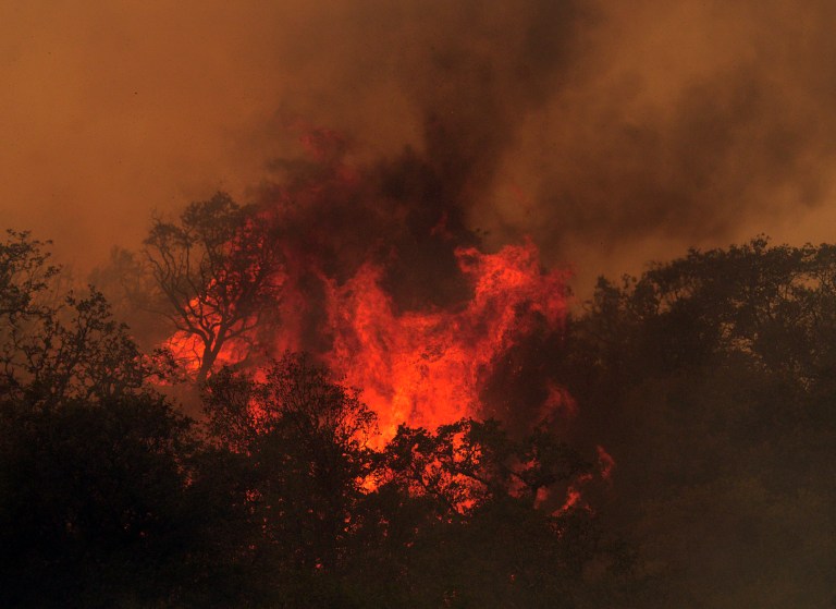 As forest fires burn in western states, it’s clear that the Forest Service isn’t making the most of its limited budget to protect against wildfires, the report states. (AP Photo)