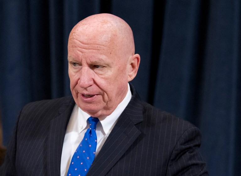 House Ways and Means Committee Chairman Rep. Kevin Brady, R-Texas, wants Congress to delve into the controversies of the Trump administration in a fair investigation. (AP Photo/Alex Brandon)