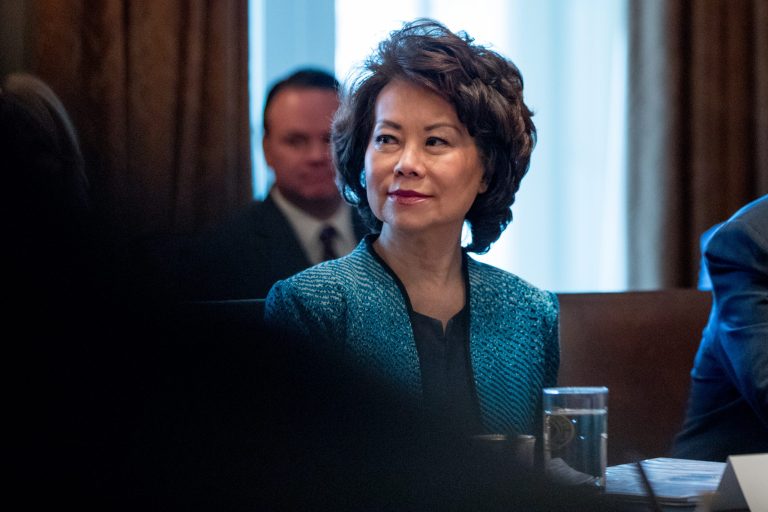 The Twitter account of Department of Transportation Secretary Elaine Chao briefly posted a peculiar tweet. (AP Photo/Andrew Harnik)