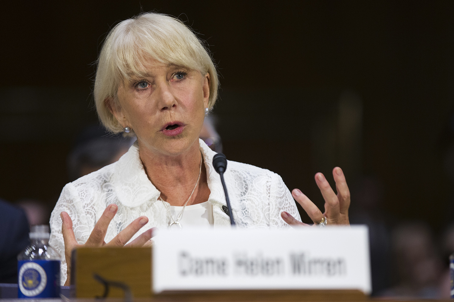 Helen Mirren supports bill to recover art stolen by Nazis