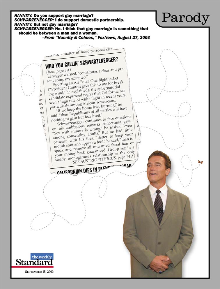 Schwarzenegger on the issues.