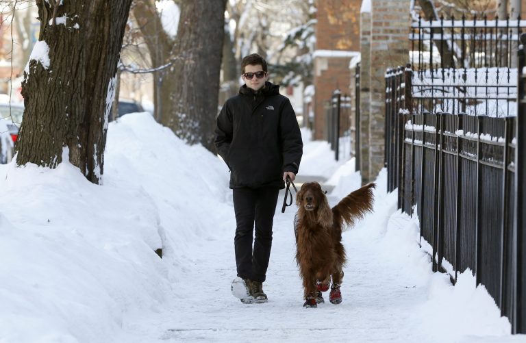 In this Tuesday, Feb. 18, 2014, photo, A.J. Hitmar, a dog walker for Dogs Deserve It, a pet walking, boarding and sitting company, walks Helio, in Chicago. Lauren Pietrocarlo, owner of Dogs Deserve It, has had to either shut down or cut back on several days this winter because it was too cold for the dogs and the walkers to be on the street, estimates she has lost between $10,000 and $18,000 this winter. (AP Photo/Charles Rex Arbogast)