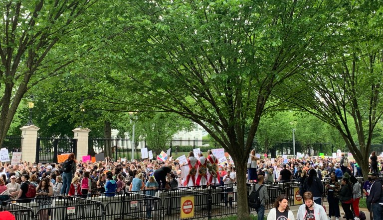 Nurses gather in front of the White House to demand safer staffing ratios, protections from patient violence, and better pay. Photo: Cassidy Morrison/Washington Examiner.