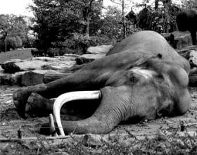 I Think We Lost the Election