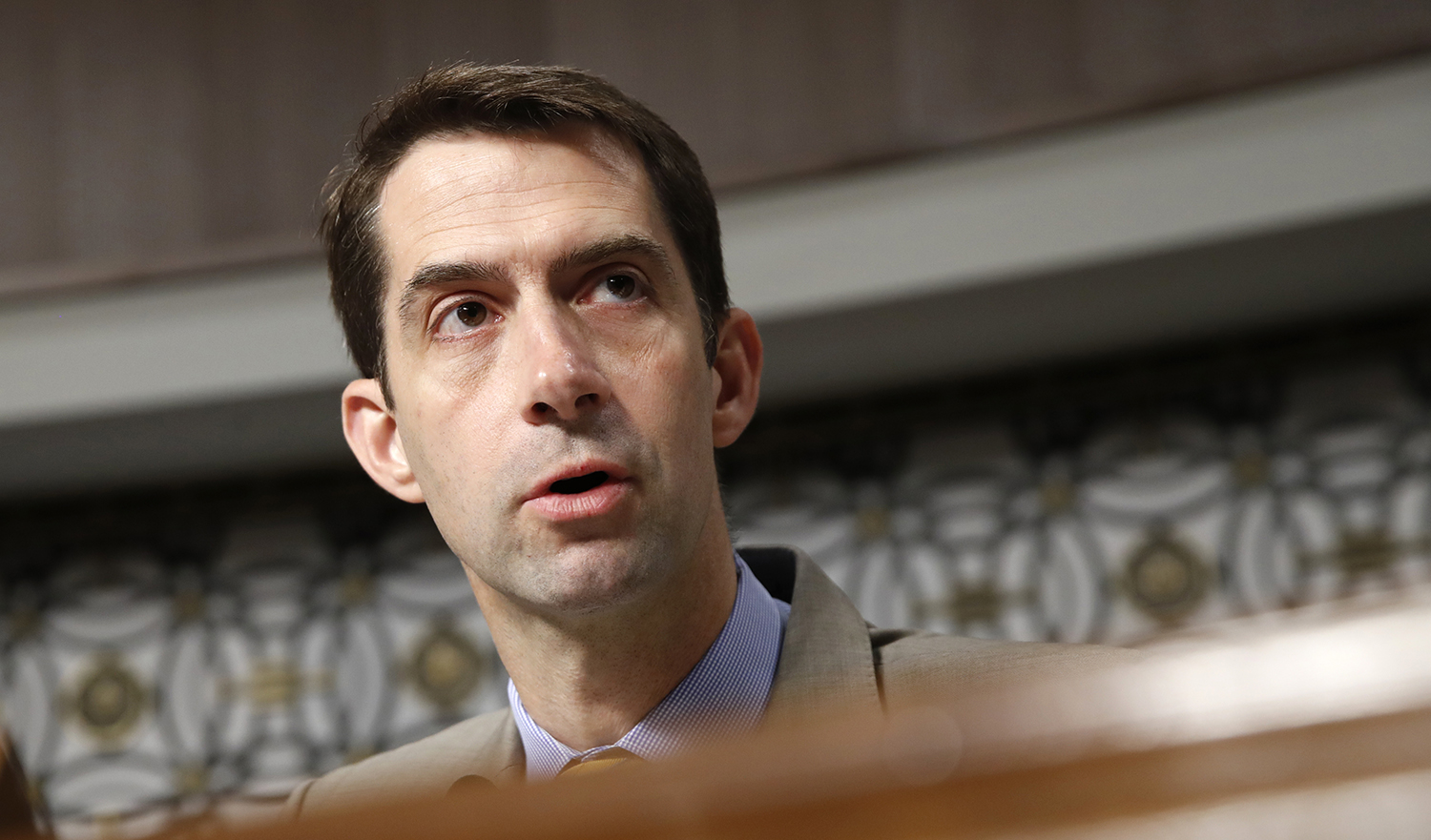 Tom Cotton: DACA legalization with no path to citizenship would be denounced by Democrats as ‘new Jim Crow’