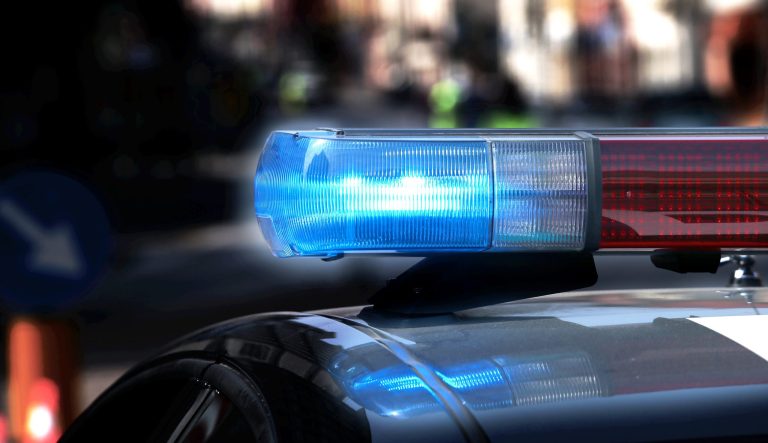 Youth arrested for punching dog that was later found beaten and stabbed to death