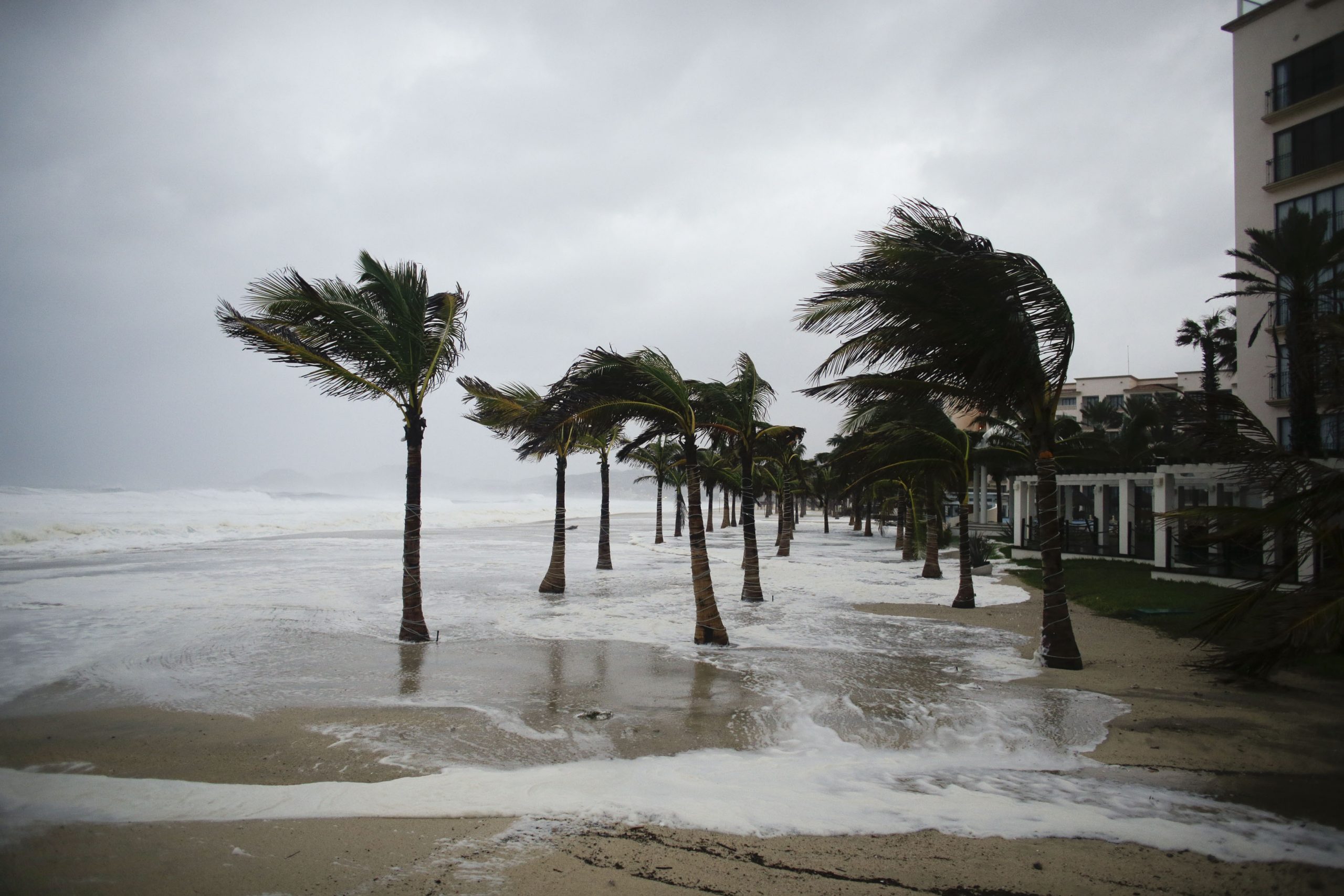 Locals, tourists ride out Hurricane Odile in Baja