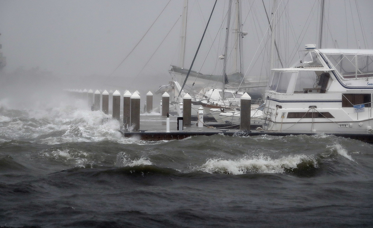 Hurricane hysteria blows an ill wind during election season