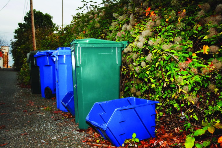 Recycling and garbage bins
