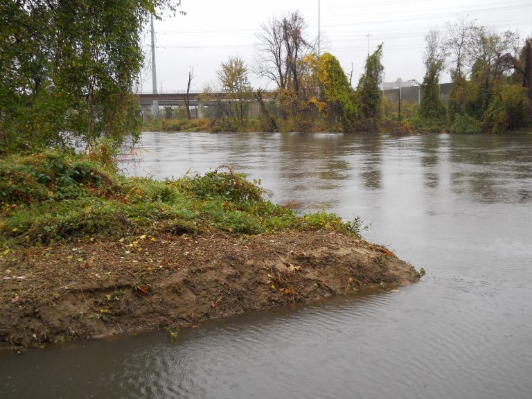 The Huntington neighborhood of Fairfax County the day after Hurricane Sandy (Taylor Holland/Examiner)