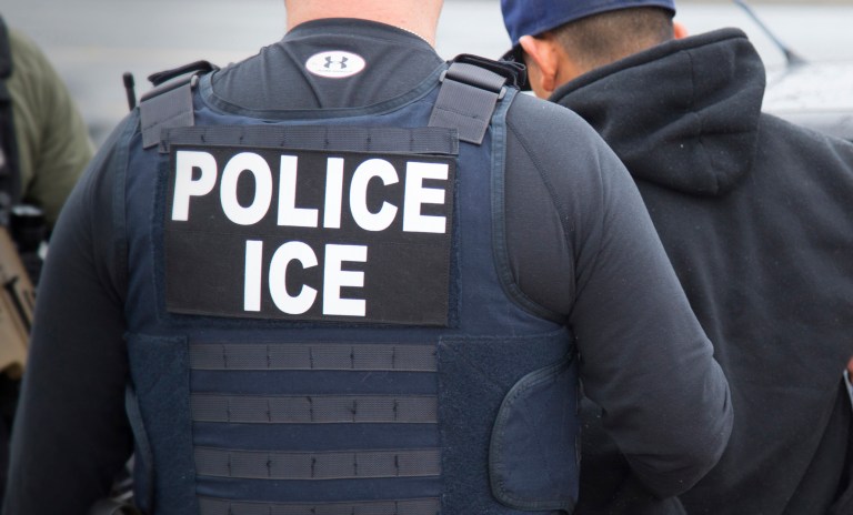 A review of his immigration history 