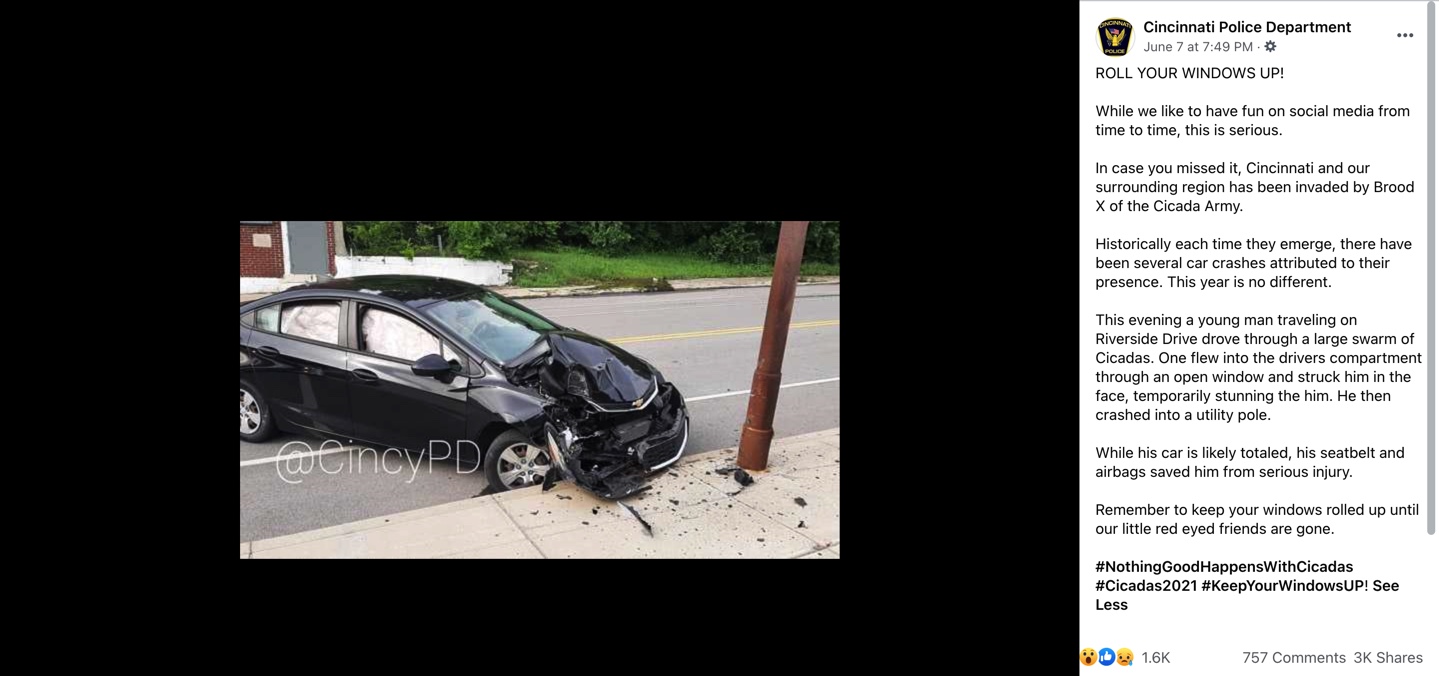 Cincinnati Police Cicada car crash Facebook post