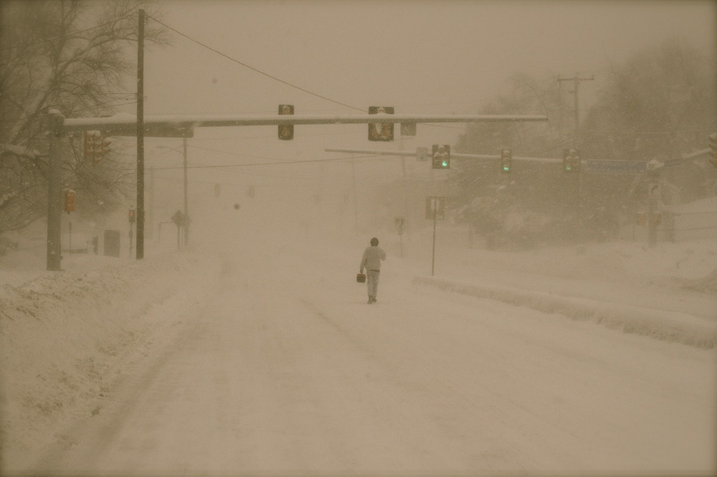 Afternoon Links: Snow is Coming, RIP Northern White Rhino, and ‘Qualified Lesbians’