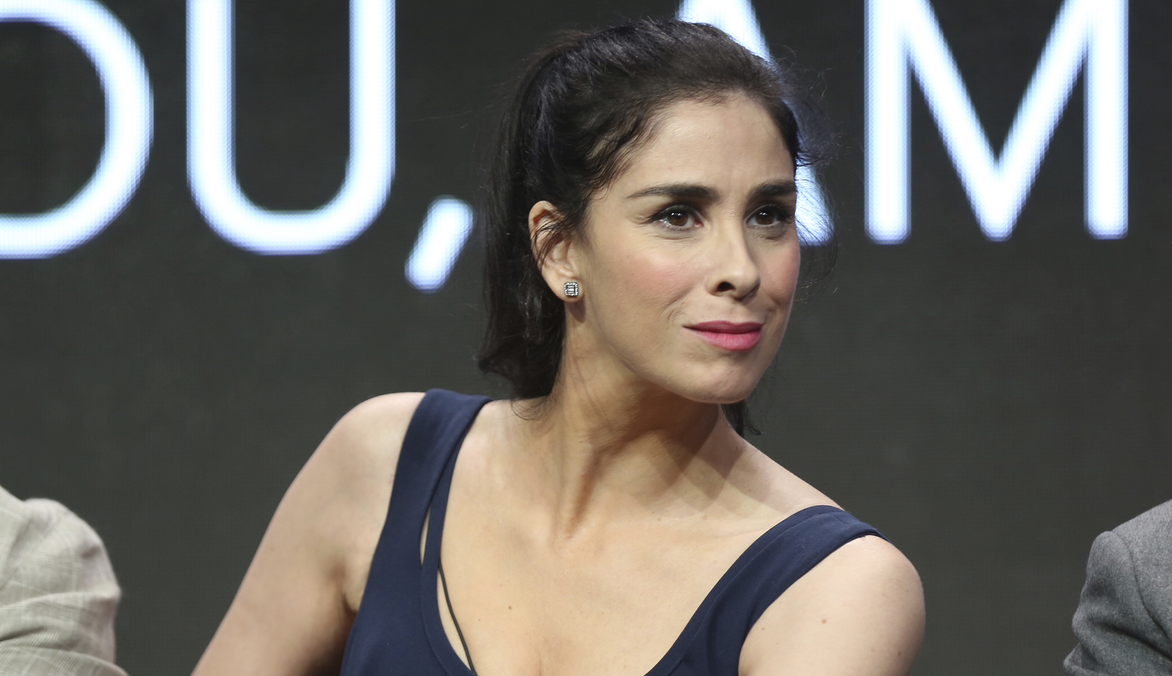 Sarah Silverman’s new show about the political divide is a surprising breath of fresh air
