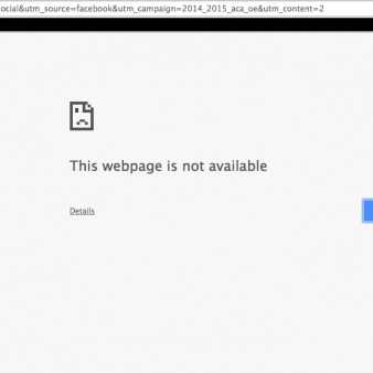 Obamacare Ads Tout ‘Ealthcare.gov’