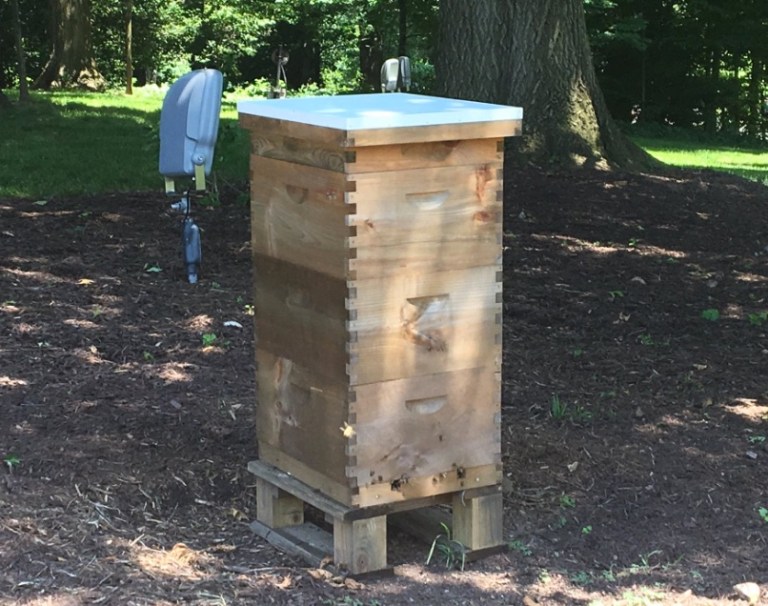 The new beehive at the vice president's residence. This picture was tweeted out by CNN's Betsy Klein.