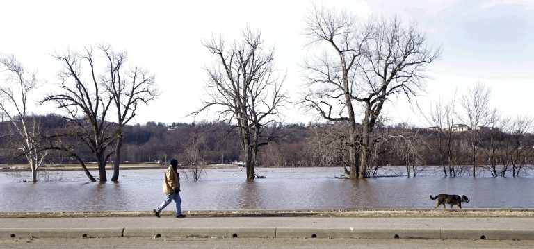 A man walks his dog along the swollen Ohio River, Monday, Feb. 24, 2014, in Cincinnati. The Ohio River is expected to reach a high of 48 feet, around four feet below flood stage, before receding later this week. (AP Photo/Al Behrman)