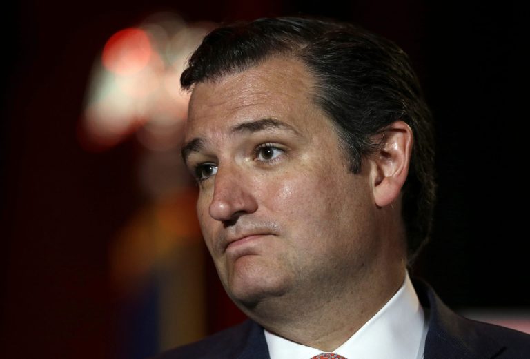While his main focus is on helping Republicans win the Senate, Sen. Ted Cruz is also stumping for a number of female candidates in down-ballot races this fall.ÃÂ (AP/Tony Gutierrez)