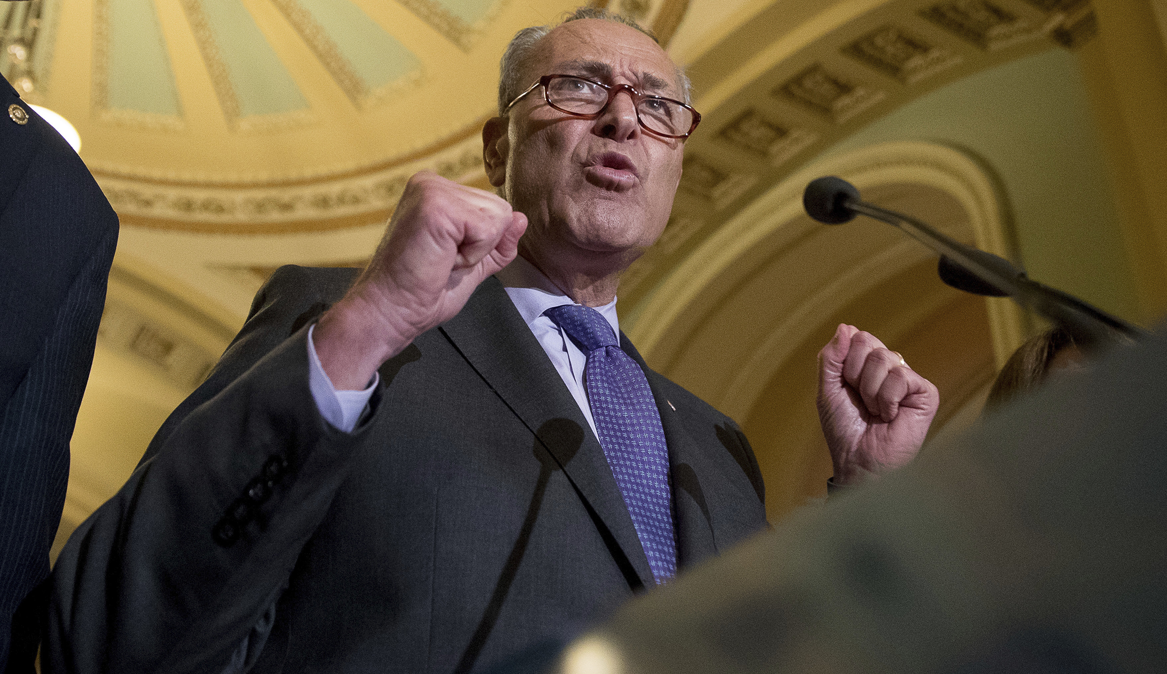 Chuck Schumer: ‘Single-payer is on the table’ for Democrats