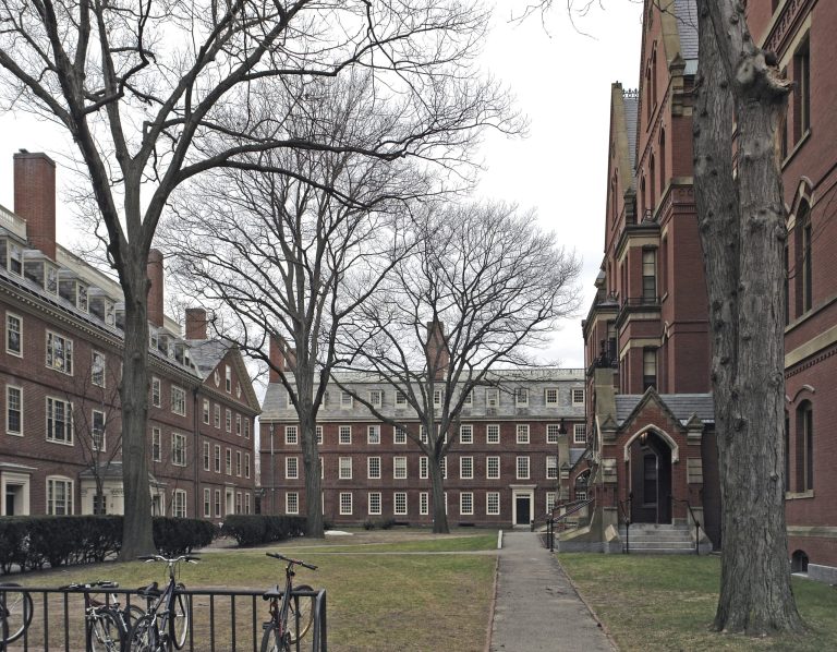 A group of Harvard Law faculty members, including a mentor to President Obama, want the Ivy League school to change its new sexual harassment policy, claiming it lacks even 